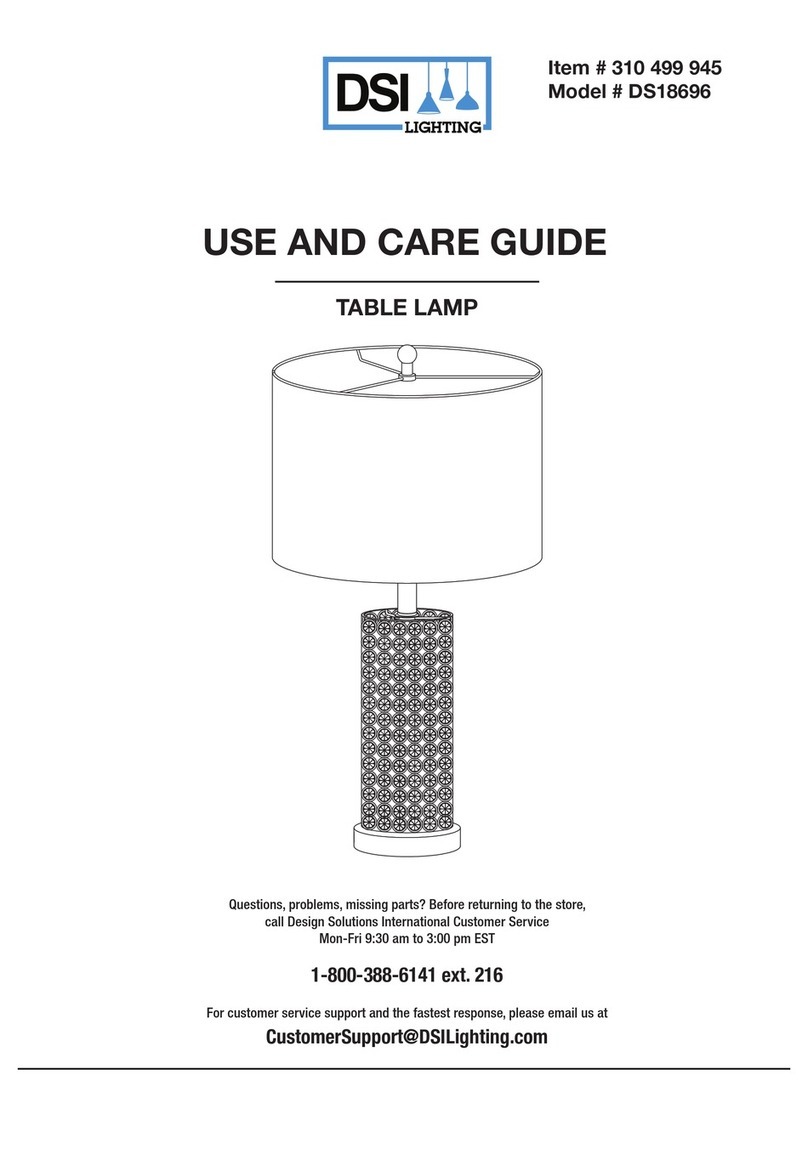 DSI LIGHTING DS18696 User manual