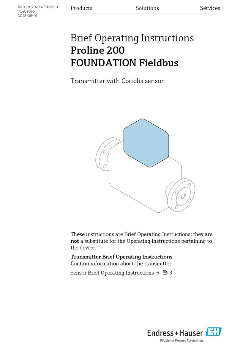 Endress+Hauser Proline 200 FOUNDATION Fieldbus Brief operating instructions