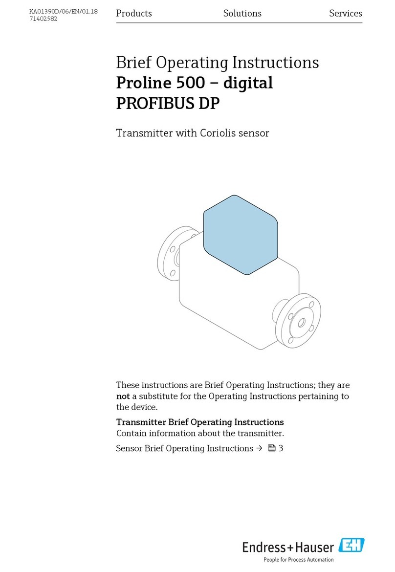 Endress+Hauser Proline 500 digital PROFIBUS DP Technical specifications