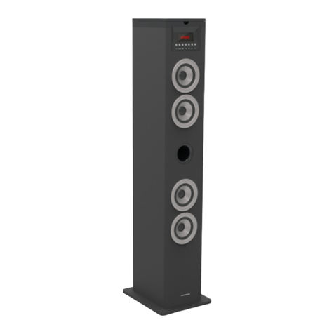 Bigben THOMSON DS120CD User manual