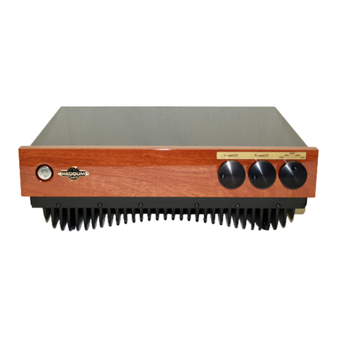 REDGUM Audio RGi35 owner's manual