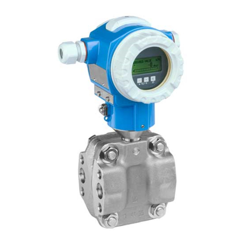 Endress+Hauser Deltabar S FMD76 operating instructions