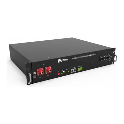 Dyness DYN-B4850 Setup