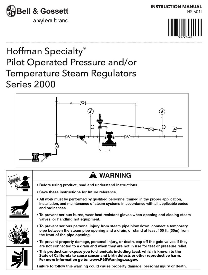 Xylem Bell & Gossett Hoffman Specialty 2000 Series User manual