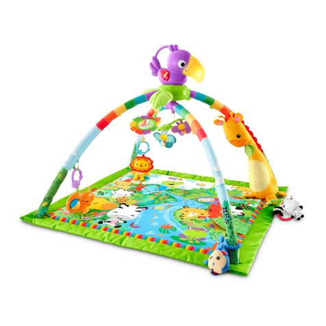Fisher-Price FPM23 Consumer information