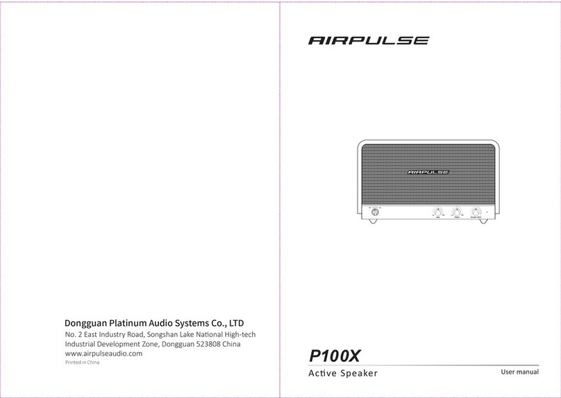 AIRPULSE P100X User manual