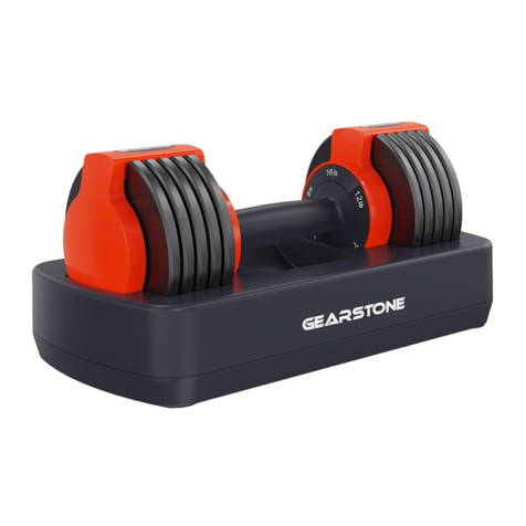 GEARSTONE YL11 owner's manual