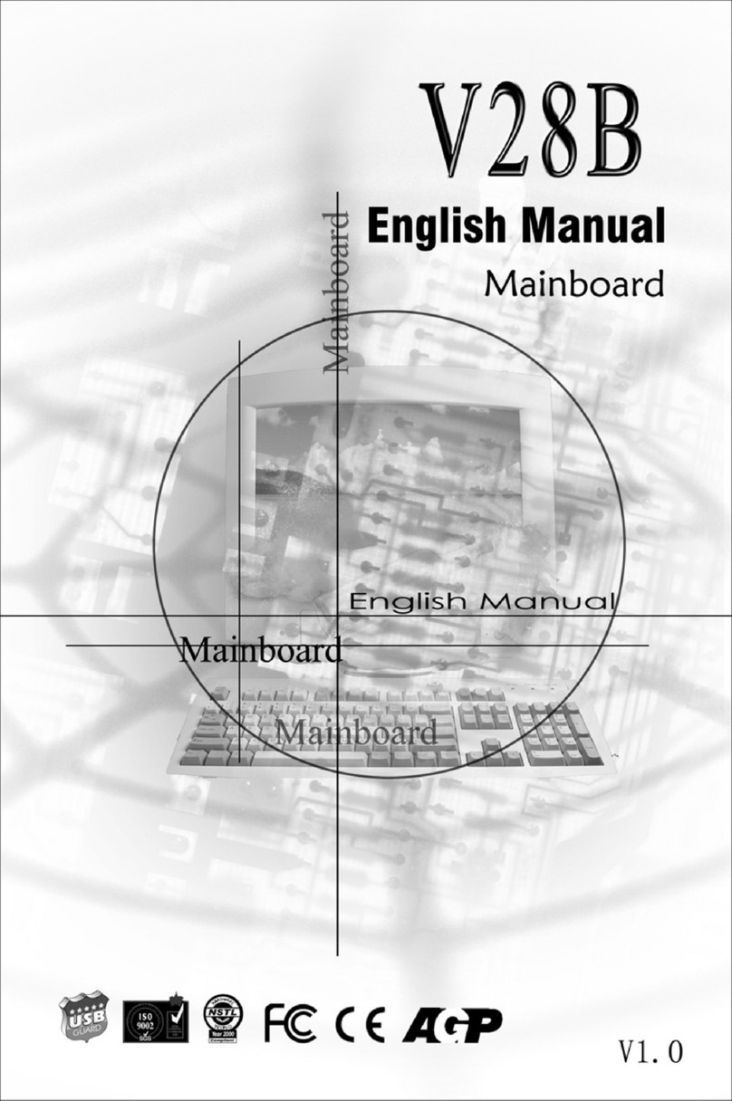 AGP V28B manual