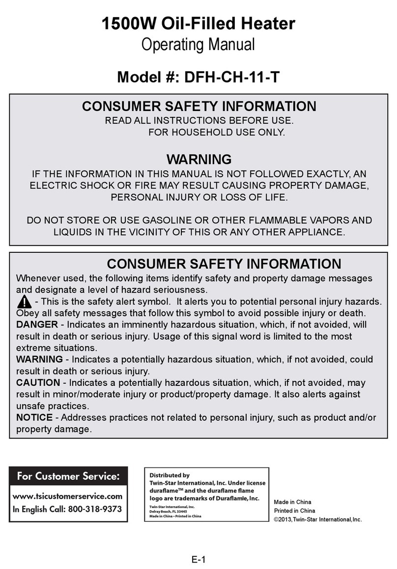 Twin-Star International DFH-CH-11-T User manual