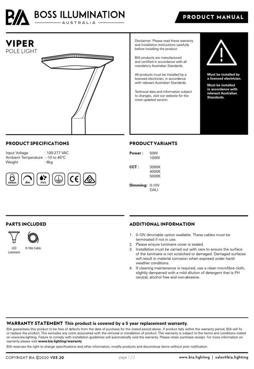 BOSS ILLUMINATION VIPER User manual