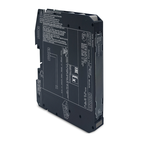 GMI D6002S User manual
