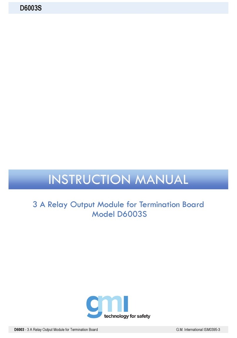 GMI D6003S User manual