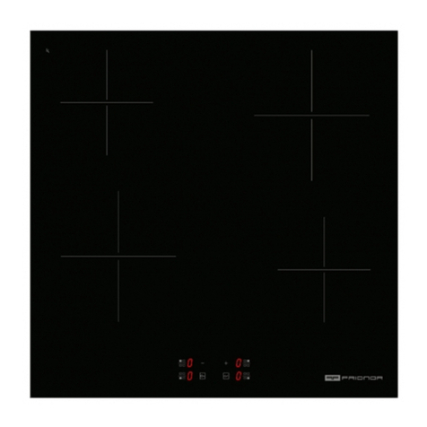 FRIONOR PVS5841 Technical specifications