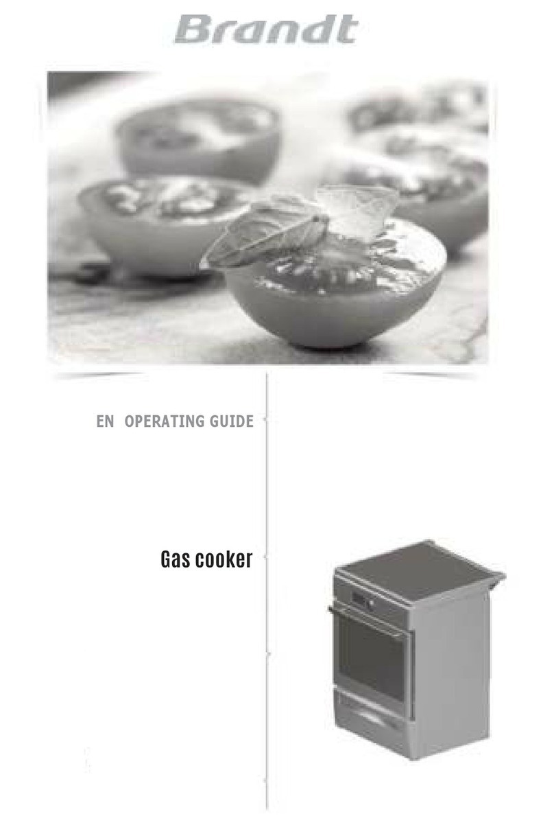 Brandt BCG6600W User manual