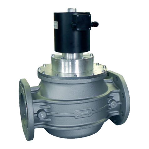 DMS DN 32 manual