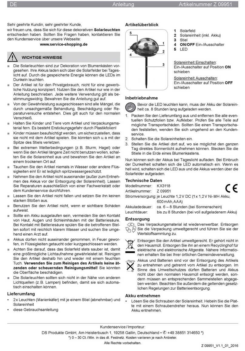DS Produkte KX3118 User manual