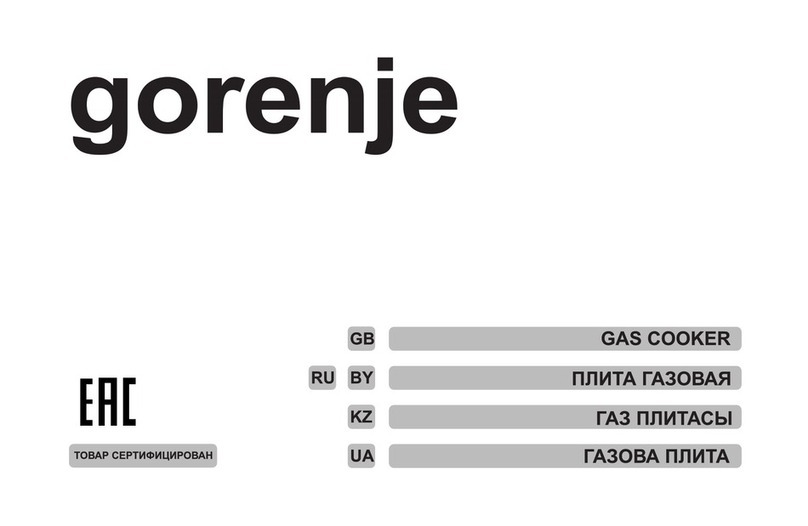 Gorenje GN51101I Manual