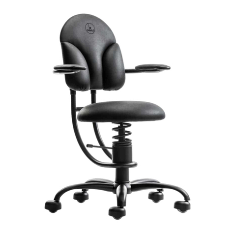 SpinaliS BASIC Instructions for use