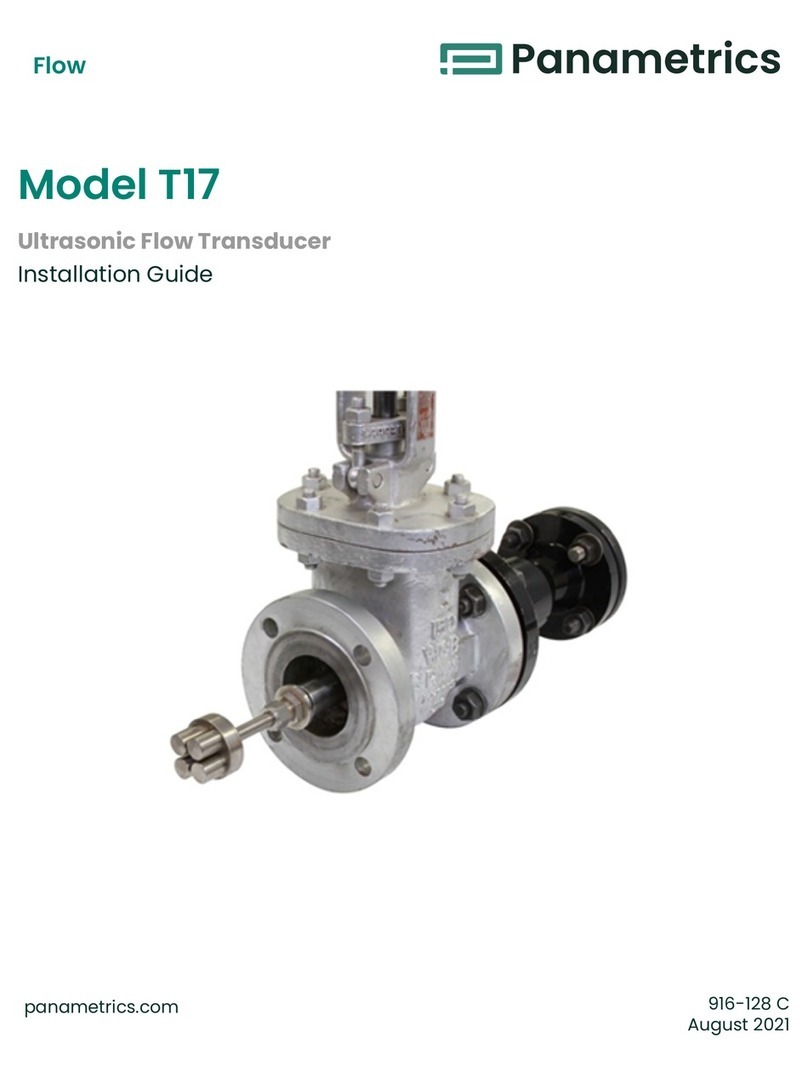 Panametrics T17 installation guide