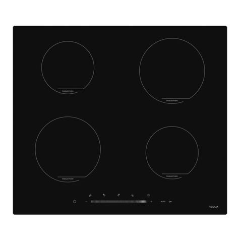 Tesla HI6400SB User manual Tesla HI6400SB User manual