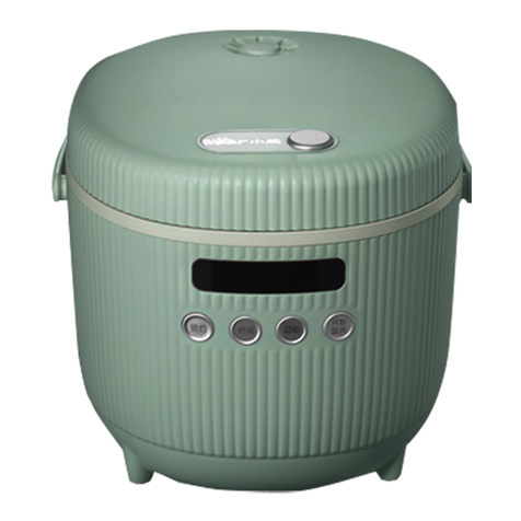 Bear DFB-B30S1 manual