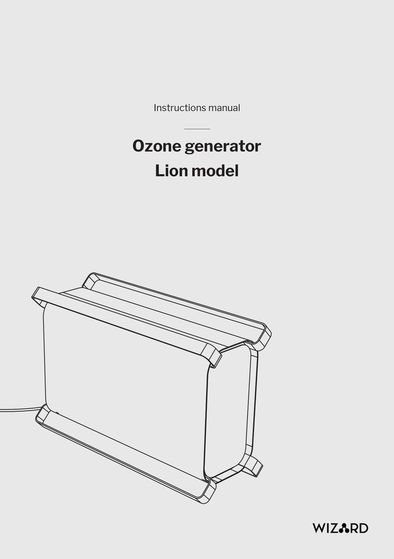 Wizard Lion instruction manual