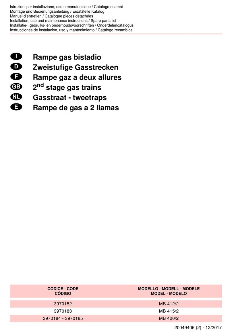 Riello MB 412/2 Guide