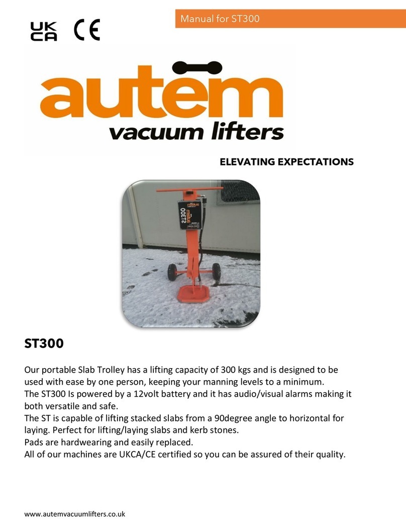 AUTEM ST300 manual