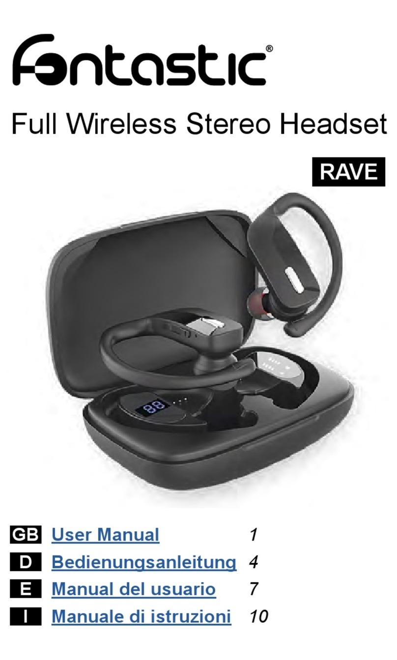 fontastic Rave user manual