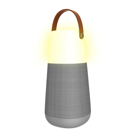 ION Bright Max user guide