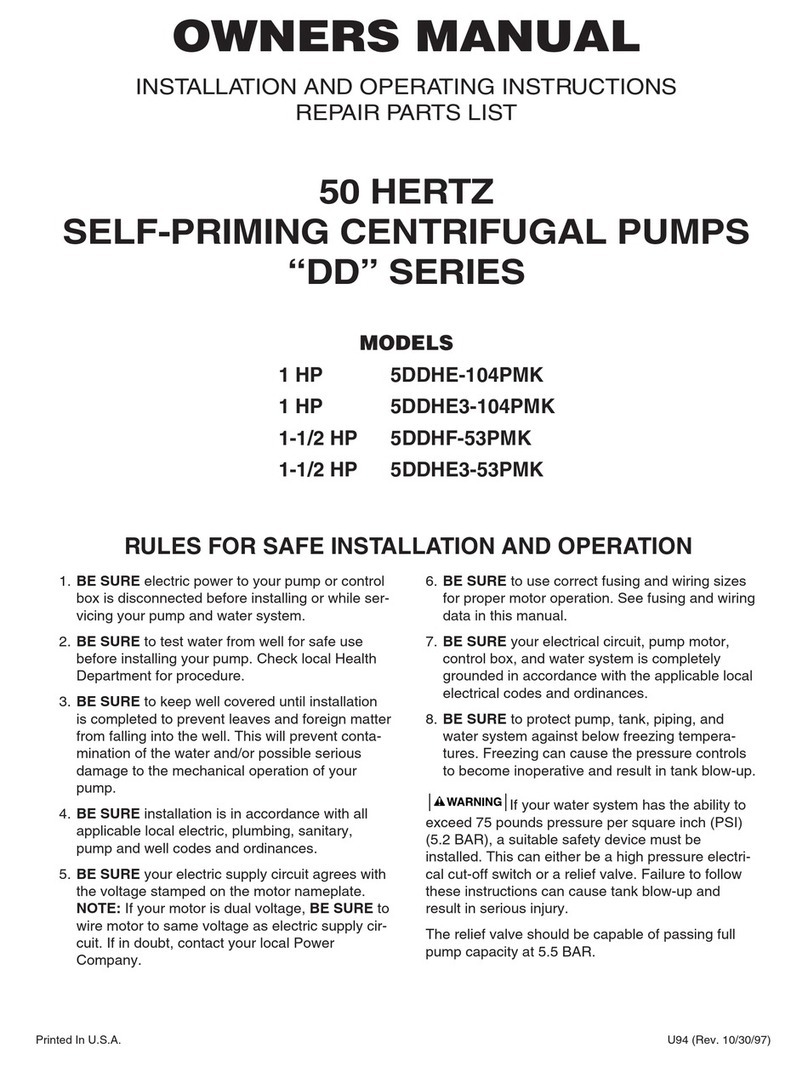Pentair DD Series User manual