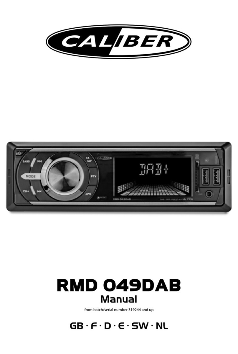 Caliber RMD 049DAB manual