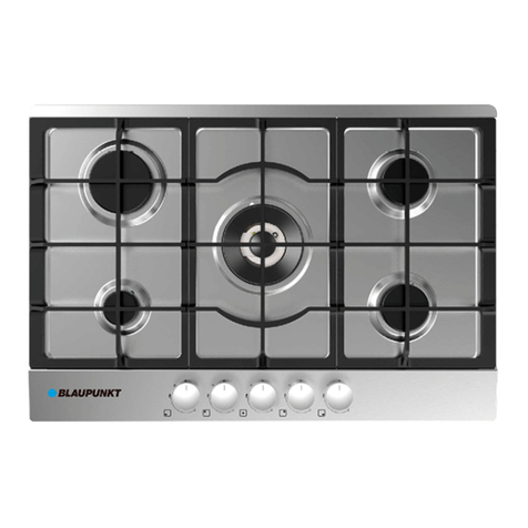 Blaupunkt 5GB 71250 Guide