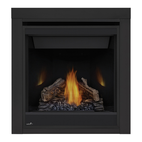 Continental Fireplaces CB30NTR-1 User manual