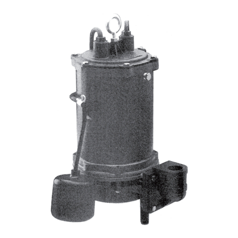 Pentair MYERS E-10 Manual