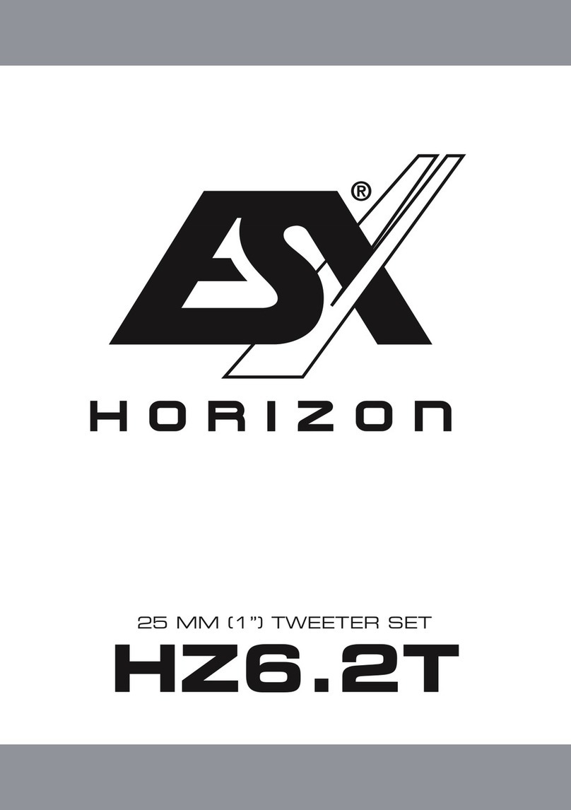 ESX HORIZON HZ6.2T manual