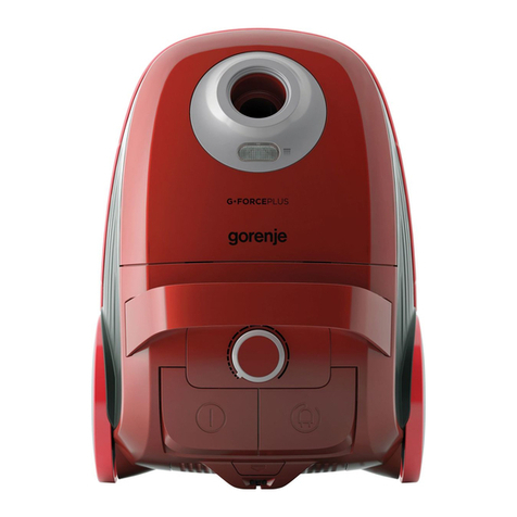 Gorenje VCEA21GPLRCY User manual