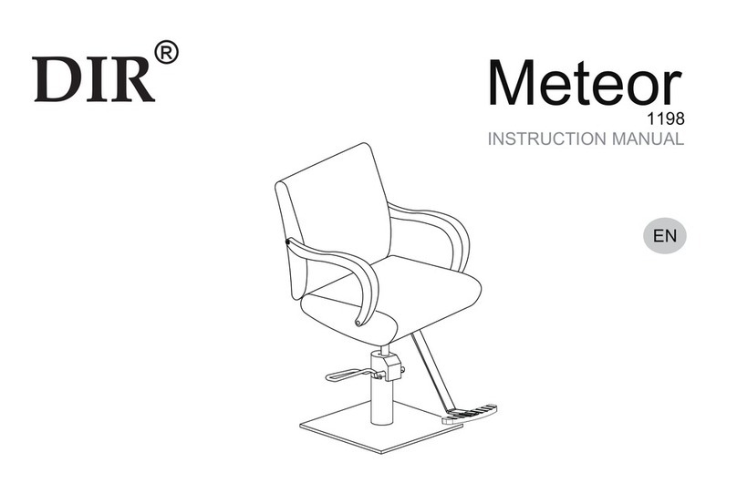 DIR Meteor 1198 instruction manual