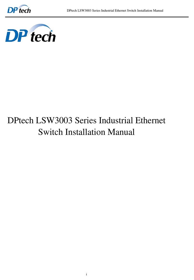 DPtech LSW3003 Series manual