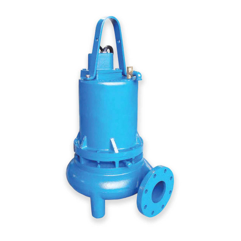 Barmesa Pumps 4BSE-DS Series Installation, operation & maintenance manual