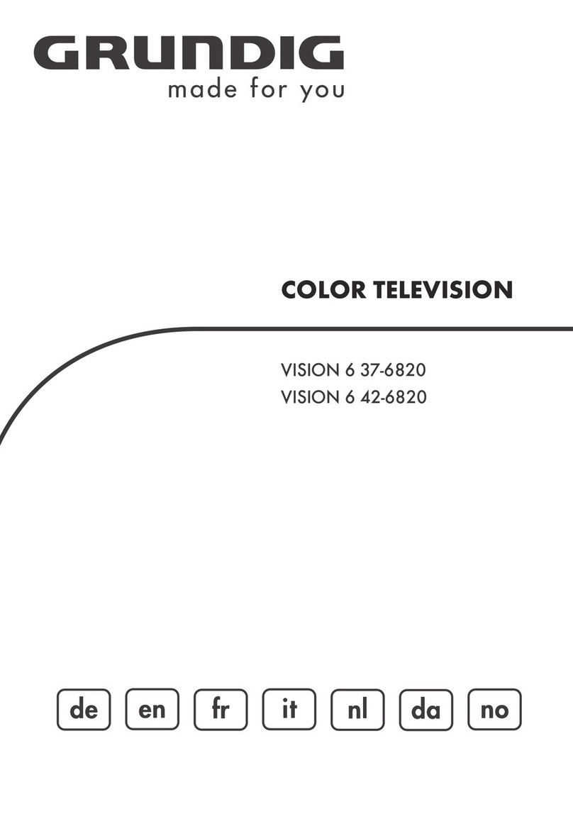 Grundig Vision 6 User manual