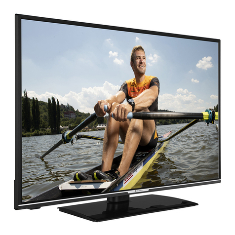 Gogen TVF43R552STWEB User manual