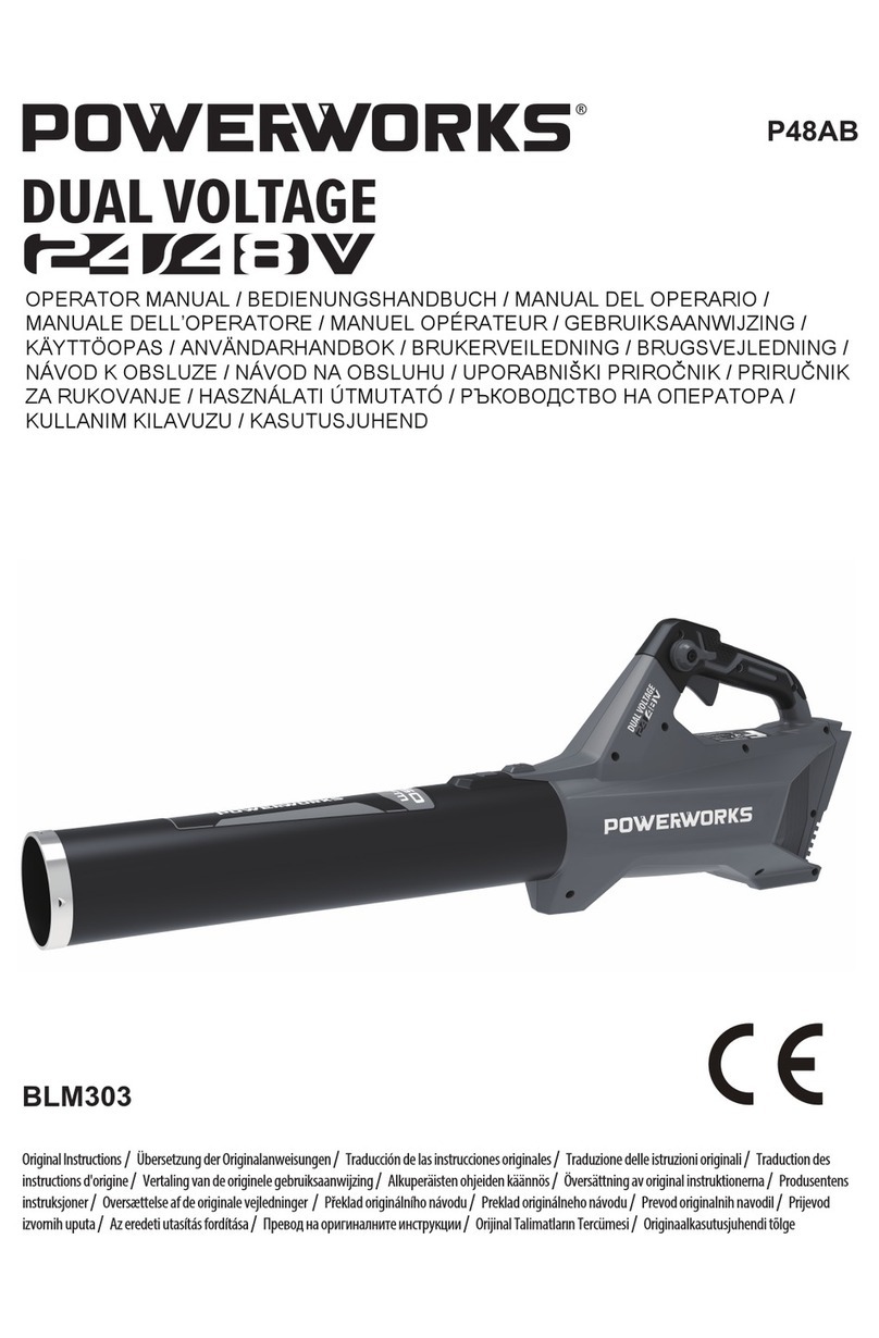 Power works P48AB User manual