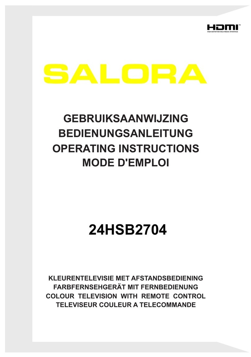 Salora 24HSB2704 User manual