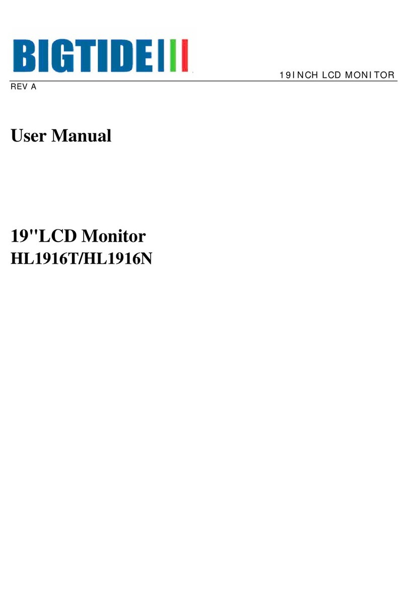 Bigtide HL1916T user manual