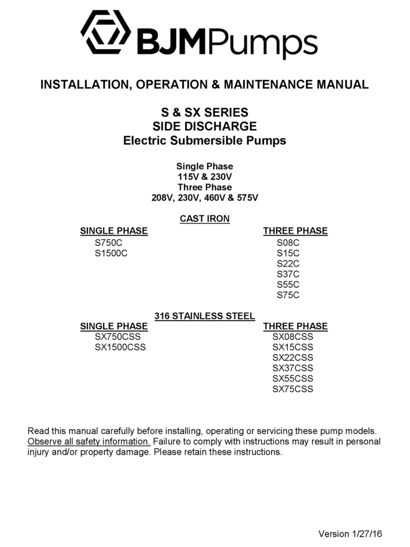 BJM Pumps S Series Instruction manual