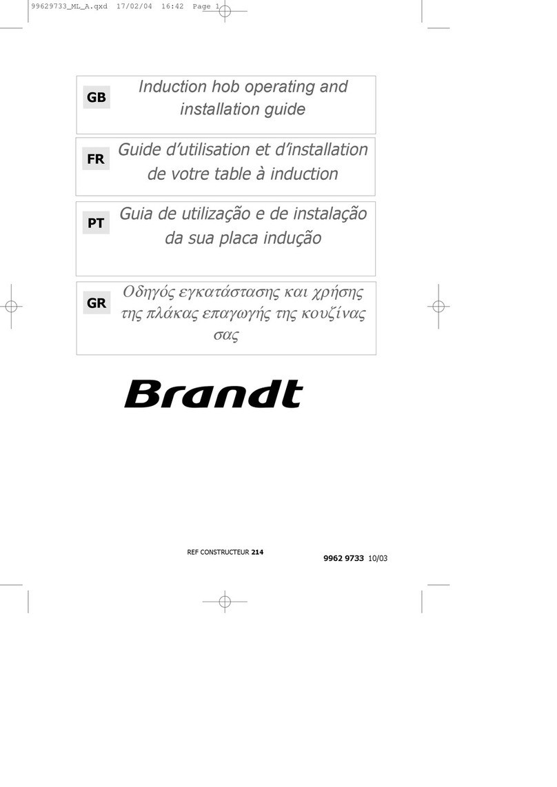 Brandt TI300 User manual