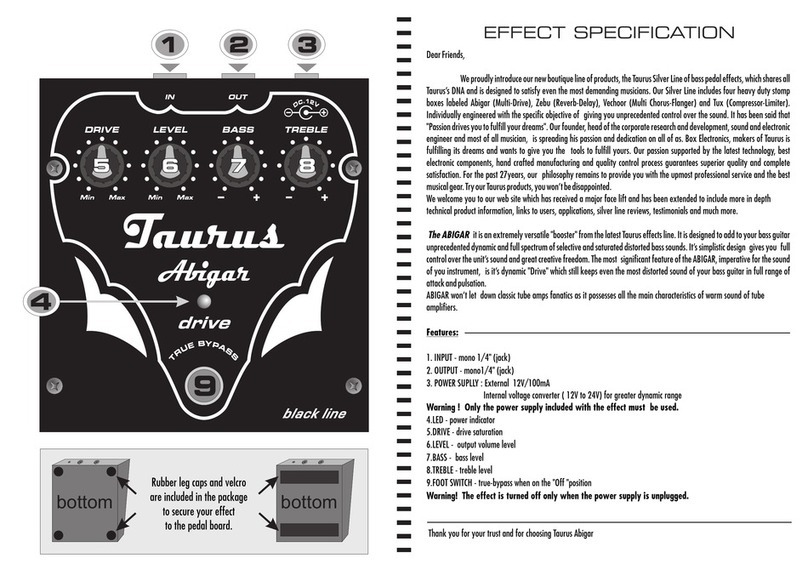 Taurus ABIGAR User manual