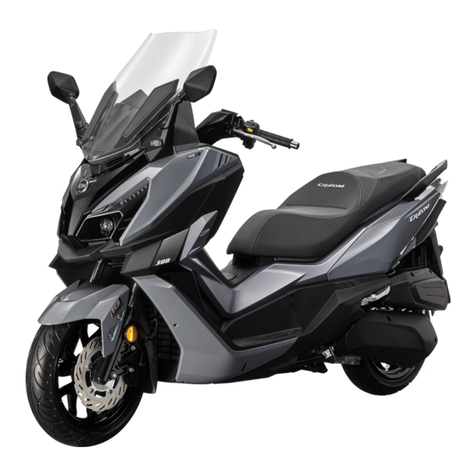 Sym CRUiSYM User manual