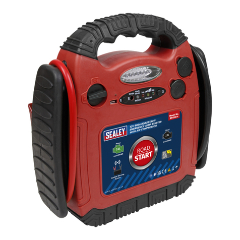 Sealey RS132.V4 manual
